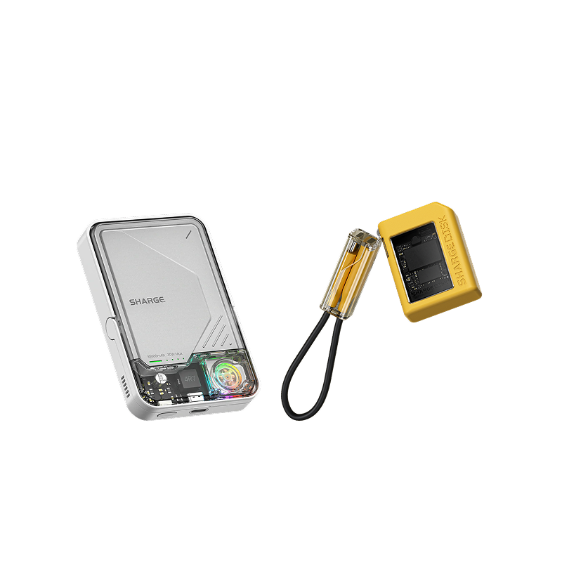 ICEMAG 2+ Disk