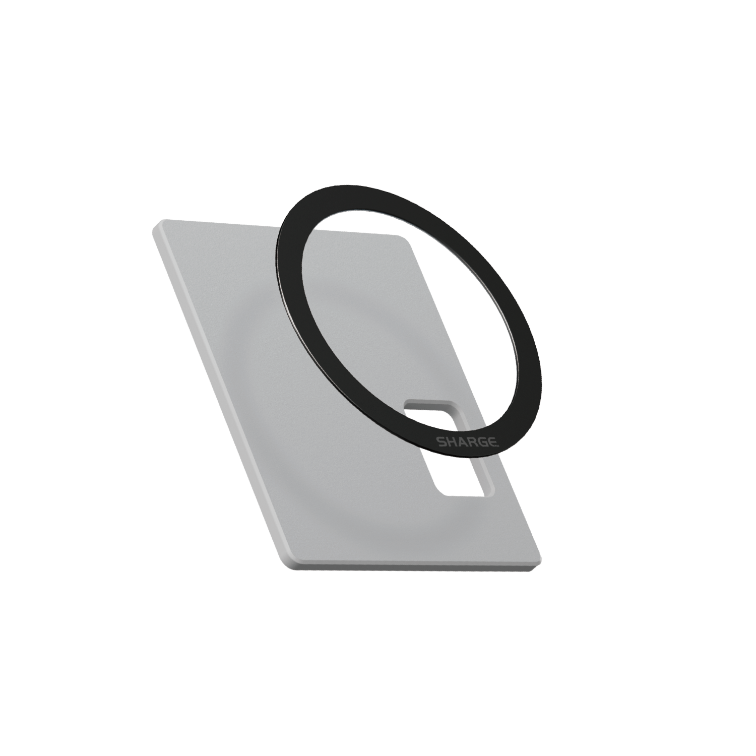 Magnetic Module for Disk Plus